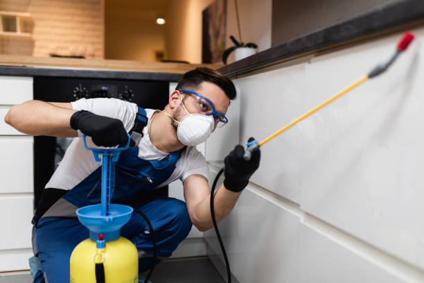 Best Exterminator Services  in Parkersburg, IA