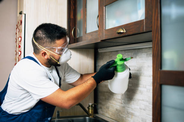 Best Ant Control Services  in Parkersburg, IA
