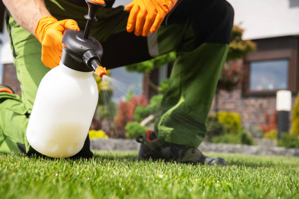Best Pest Control Near Me  in Parkersburg, IA