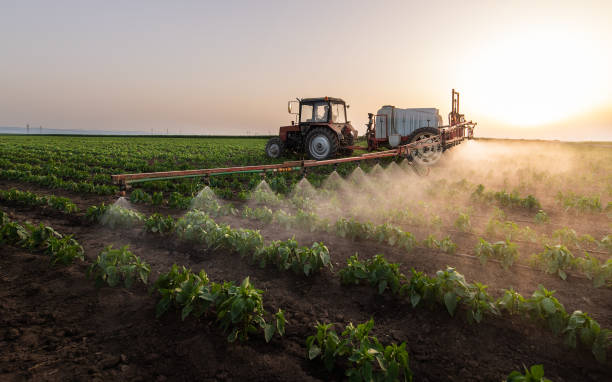 Best Pest Control for Businesses  in Parkersburg, IA