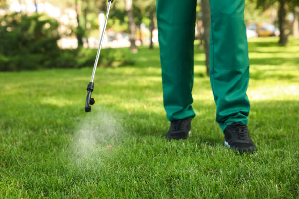 Best Mosquito Control Services  in Parkersburg, IA