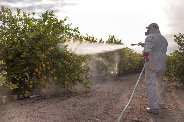 Best Emergency Pest Control  in Parkersburg, IA