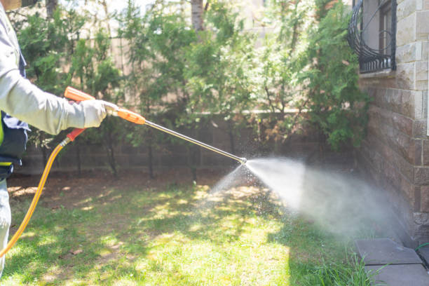 Best Flea Control Services  in Parkersburg, IA