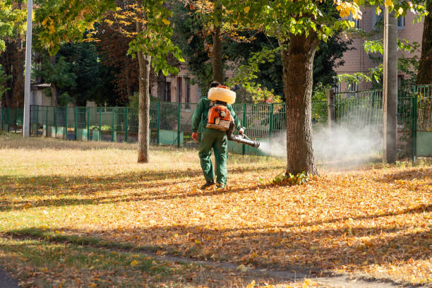 Best Pest Removal Services  in Parkersburg, IA
