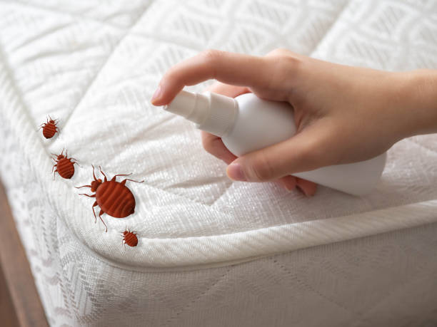 Best Pest Control for Restaurants  in Parkersburg, IA