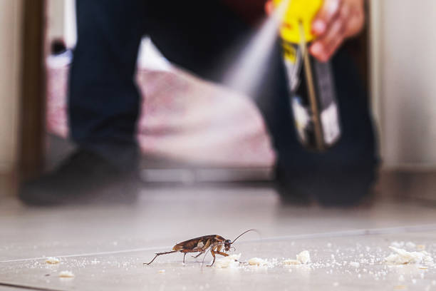 Best Residential Pest Control  in Parkersburg, IA