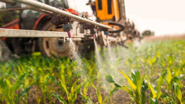 Best Pest Inspection Near Me  in Parkersburg, IA