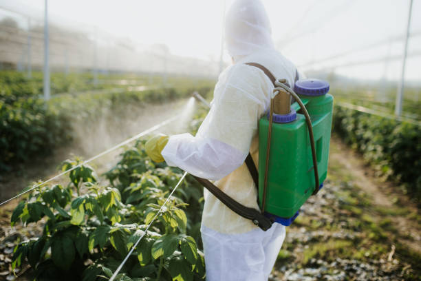 Best Best Pest Control Companies  in Parkersburg, IA